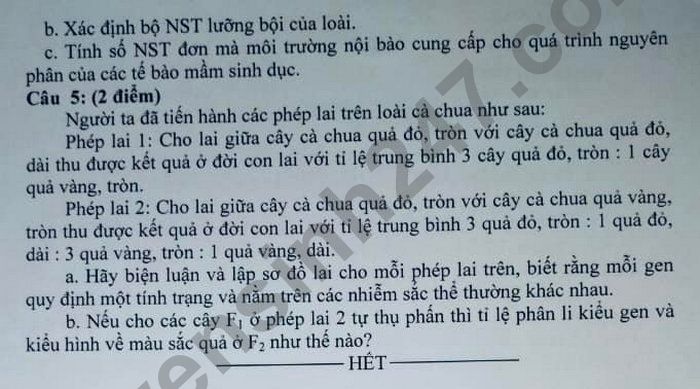 Đề thi tuyển sinh lớp 10 môn Sinh (chuyên) 2022 Chuyên Bến Tre có đáp án