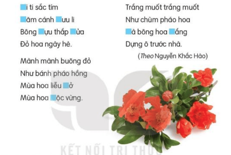 Viết trang 44 Tiếng Việt lớp 3 Tập 2 | Kết nối tri thức