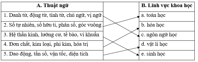 Soạn bài Thực hành tiếng Việt lớp 7 trang 82 Tập 2 | Hay nhất Cánh diều