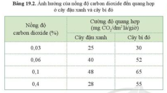Đọc thông tin ở bảng 19.2, và cho biết ảnh hưởng của nồng độ carbon dioxide đến quang hợp