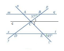 Bài 5 trang 108 SGK Toán Cánh diều lớp 7 tập 1 câu C