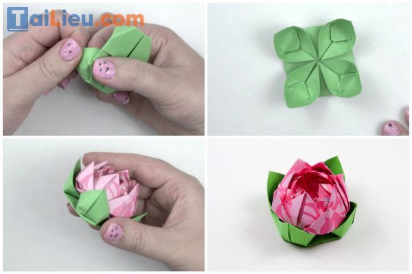 Cách làm hoa sen bằng giấy