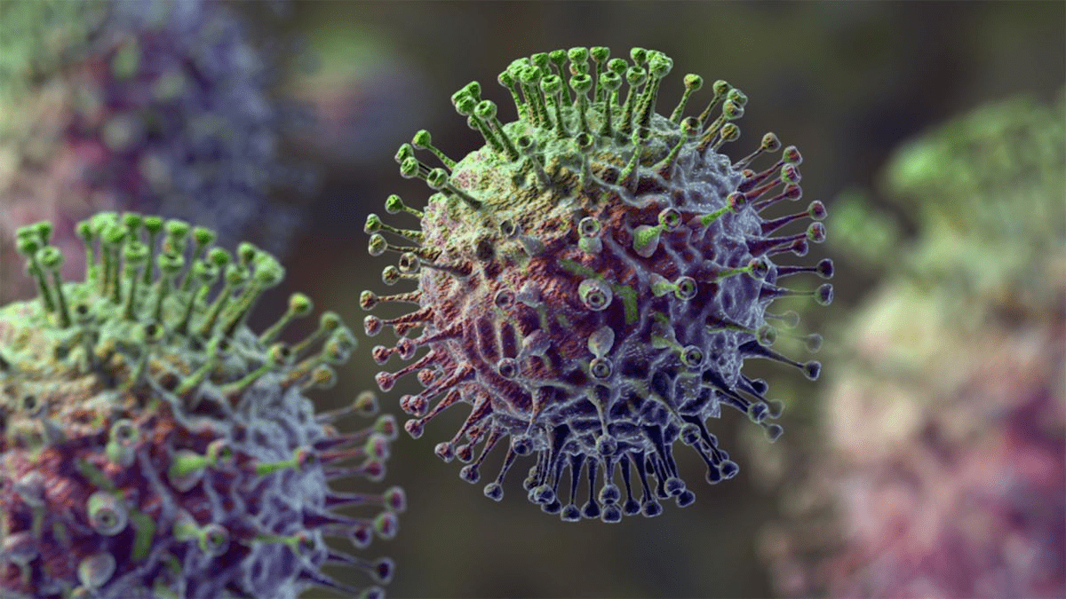 Virus cúm B