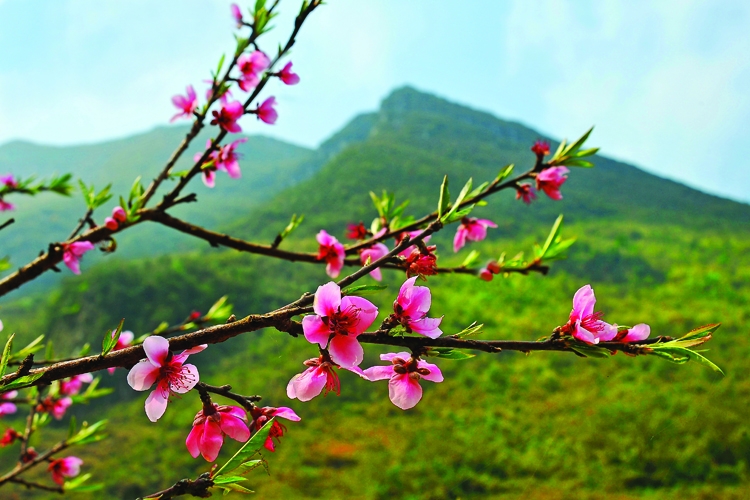 Bài thơ Xuân của Chế Lan Viên