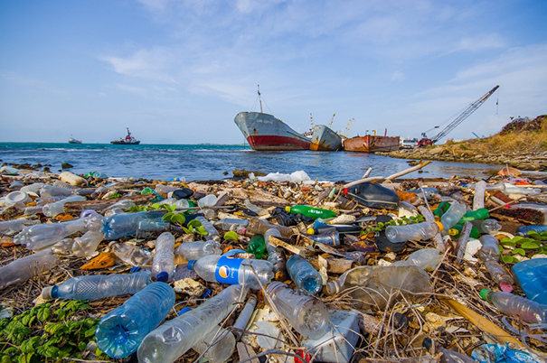 Viết đoạn văn khoảng 150 chữ nêu suy nghĩ của bạn về giải pháp làm giảm rác thải nhựa trên toàn cầu