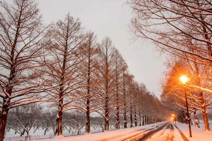 Phân tích bài thơ Con đường mùa đông của Puskin - Văn 11 KNTT
