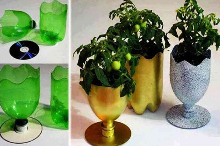 Cách làm chậu hoa bằng chai nhựa - Hình chiếc ly