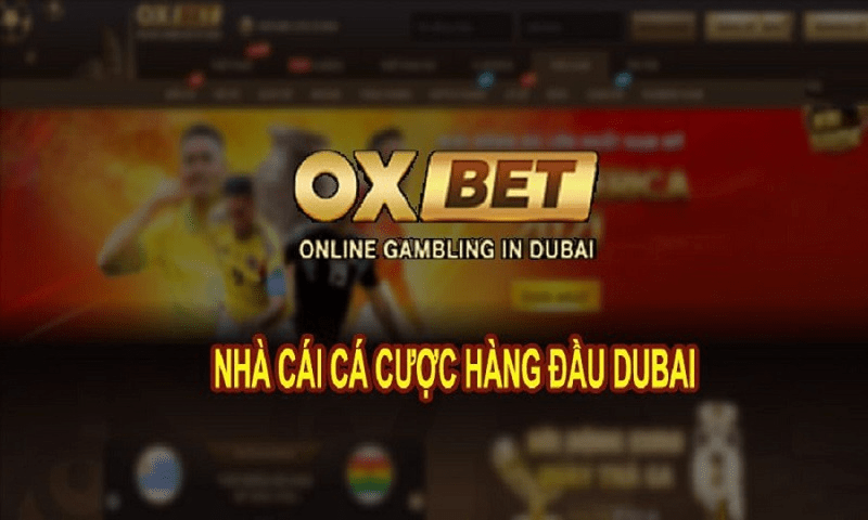 Giới thiệu tổng quan nhà cái Oxbet