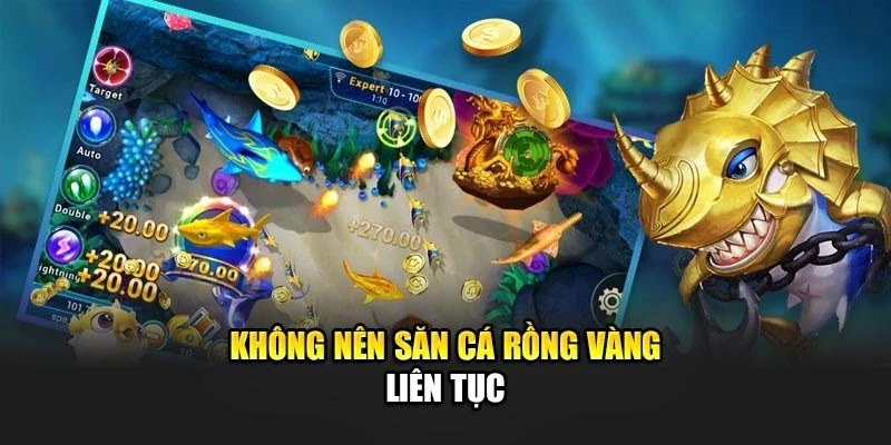 Không nên săn cá rồng vàng liên tục